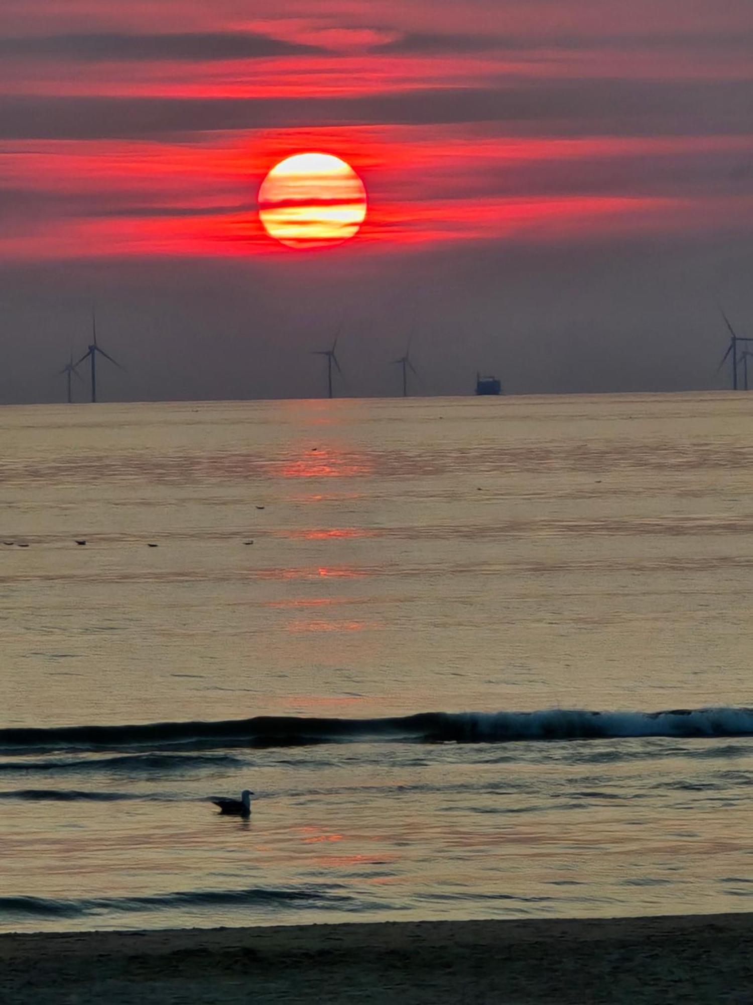Zeezuid Egmond aan Zee Exterior foto